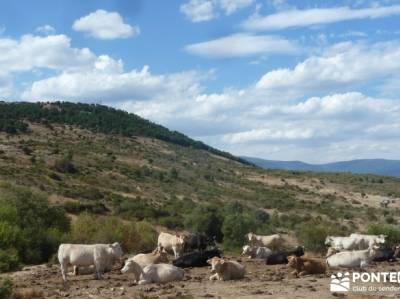 Cabeza de Braña, Mondalindo y Peña Negra - Senderismo por Madrid;ropa de montaña mapa comunidad d